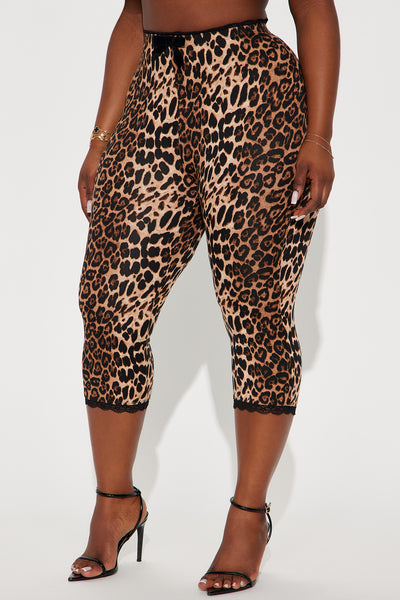 https://cdn.shopify.com/s/files/1/0293/9277/files/10-01-24_S4_7_KJGB4081404_Browncombo_RA_AC_10-54-03_PLUS_74280_PXF.jpg?v=1753892577&with=400&height=600