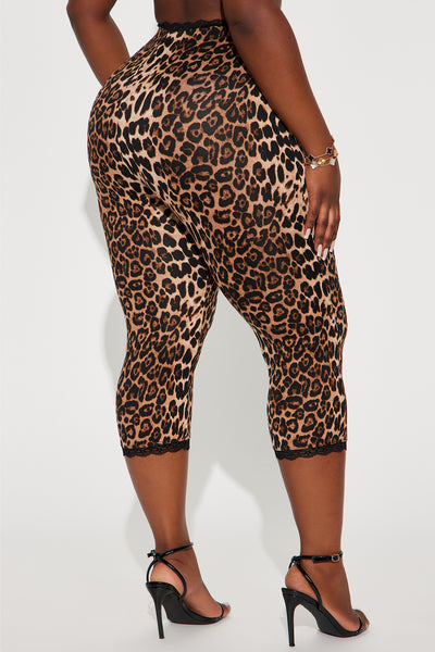 https://cdn.shopify.com/s/files/1/0293/9277/files/10-01-24_S4_7_KJGB4081404_Browncombo_RA_AC_10-54-31_PLUS_74283_PXF.jpg?v=1753892577&with=400&height=600
