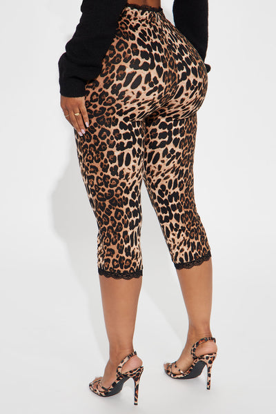 https://cdn.shopify.com/s/files/1/0293/9277/files/10-03-24_S2_9_KJGB4081404_Browncombo_CXB_RL_14-20-08_41981_SL.jpg?v=1728074661&with=400&height=600